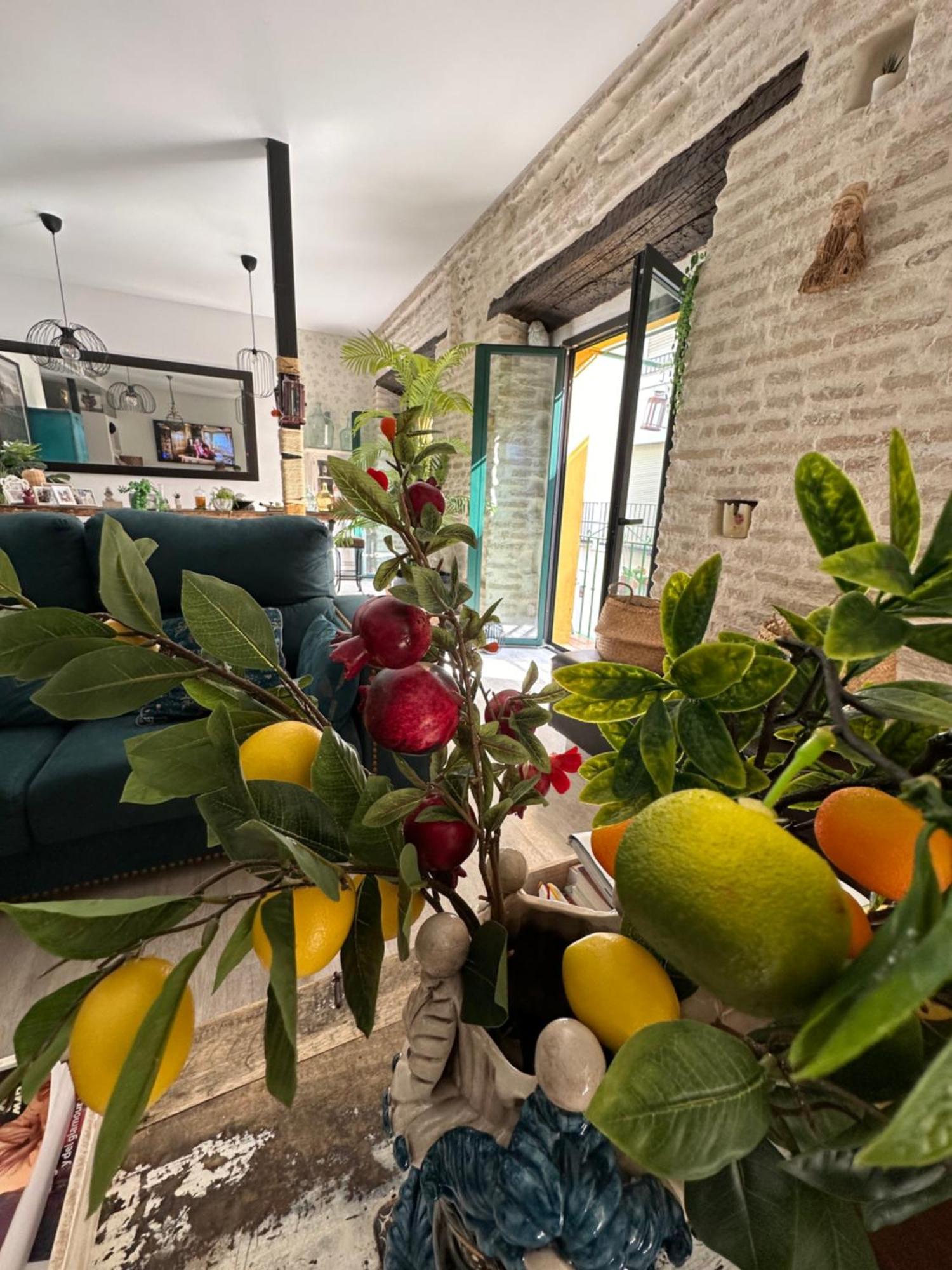 Casa Duque Compartida Familiar 1-Habitacion Con Bano Propio Sevilla Eksteriør bilde