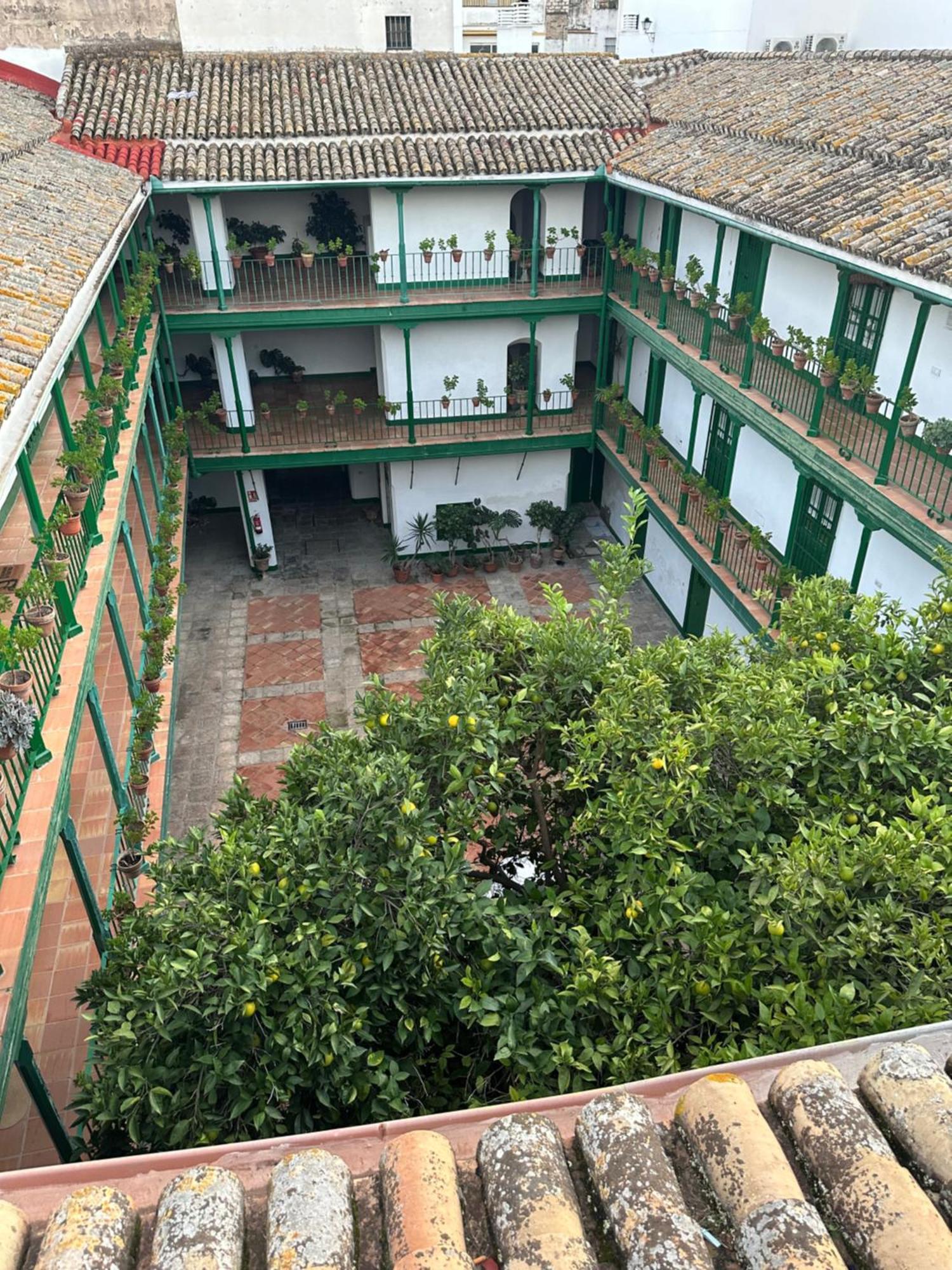 Casa Duque Compartida Familiar 1-Habitacion Con Bano Propio Sevilla Eksteriør bilde